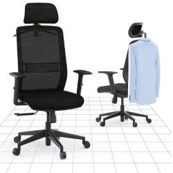 Ergonomischer Bürostuhl von Flexispot